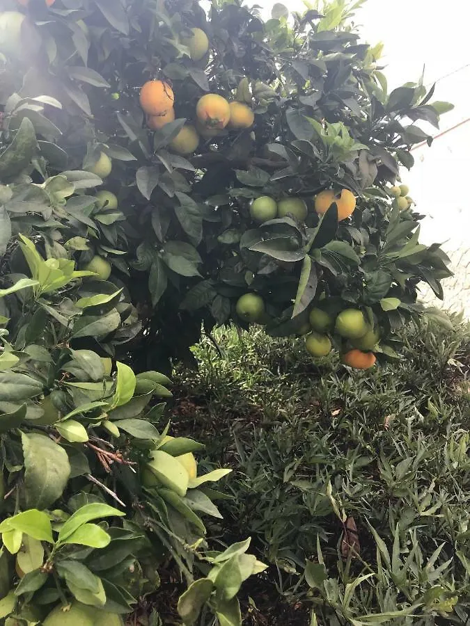 Finca el Cortijo San Miguel de Abona 0*,
